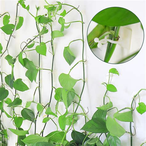 Wall Plant Vine Holder 